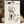 Load image into Gallery viewer, I Love My Poodle Drawing
